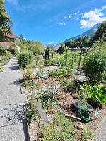146 Besuch im Schweizerischen Freilichtmuseum Ballenberg - Kräutergarten &ndash; &copy; Annette Probst-Weise (Eberhardt TRAVEL)