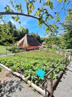 147 Besuch im Schweizerischen Freilichtmuseum Ballenberg - Kräutergarten &ndash; &copy; Annette Probst-Weise (Eberhardt TRAVEL)
