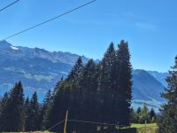 319 Talfahrt von der Rigi &ndash; &copy; Annette Probst-Weise (Eberhardt TRAVEL)