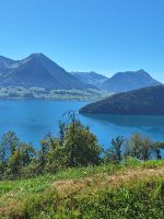 322 Talfahrt von der Rigi &ndash; &copy; Annette Probst-Weise (Eberhardt TRAVEL)
