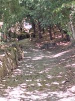 339 Küssnacht - Hohle Gasse &ndash; &copy; Annette Probst-Weise (Eberhardt TRAVEL)