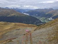 Blick vom Jakobshorn in Richtung Landwassertal