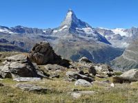 Wanderung entlang des Blumenweges am Rothorn... 