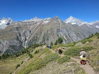 Wanderung entlang des Blumenweges am Rothorn... 