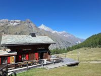 Wanderung entlang des Blumenweges am Rothorn... (Tufternalp)