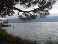 Montreux liegt am Genfer See. &ndash; &copy; Vivian Kreft (Eberhardt TRAVEL)