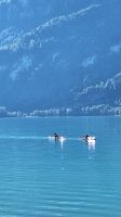 Einsame Ruderer &ndash; &copy; Andreas Kunzmann (Eberhardt TRAVEL)