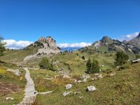 103 Auf der Schynige Platte - Alpengarten &ndash; &copy; Annette Probst-Weise (Eberhardt TRAVEL)