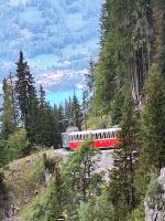 112 Talfahrt von der Schynigen Platte - &ndash; &copy; Annette Probst-Weise (Eberhardt TRAVEL)