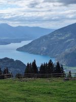 121 Talfahrt von der Schynigen Platte - Thunersee &ndash; &copy; Annette Probst-Weise (Eberhardt TRAVEL)