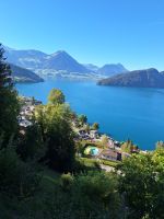 181 Fahrt mit der Rigi Bahn auf die Rigi - Blick über den Vierwaldstättersee &ndash; &copy; Annette Probst-Weise (Eberhardt TRAVEL)