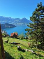 182 Fahrt mit der Rigi Bahn auf die Rigi - Blick über den Vierwaldstättersee