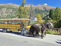 Fahrt mit dem Pferde-Omnibus ins Val Roseg &ndash; &copy; Katrin Deutschbein (Eberhardt TRAVEL)