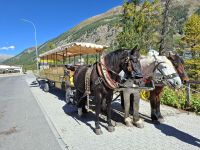 Fahrt mit dem Pferde-Omnibus ins Val Roseg &ndash; &copy; Katrin Deutschbein (Eberhardt TRAVEL)