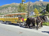 Fahrt mit dem Pferde-Omnibus ins Val Roseg &ndash; &copy; Katrin Deutschbein (Eberhardt TRAVEL)