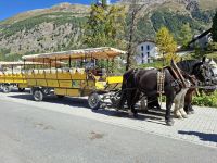 Fahrt mit dem Pferde-Omnibus ins Val Roseg &ndash; &copy; Katrin Deutschbein (Eberhardt TRAVEL)