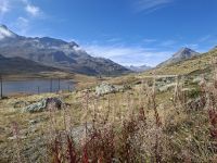 Bernina-Passhöhe &ndash; &copy; Katrin Deutschbein (Eberhardt TRAVEL)