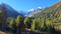 Blick zum Morteratschgletscher &ndash; &copy; Andreas Kunzmann (Eberhardt TRAVEL)