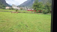 Beobachtungen aus dem Zug heraus &ndash; &copy; Andreas Kunzmann (Eberhardt TRAVEL)