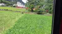 Es geht Richtung Poschiavo &ndash; &copy; Andreas Kunzmann (Eberhardt TRAVEL)
