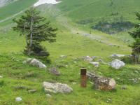 Themenwanderung auf der Schwägalp  &ndash; &copy; Sandra Rößle (Eberhardt TRAVEL)