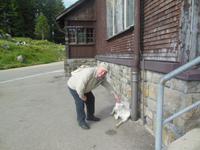 auf der Schwägalp  &ndash; &copy; Sandra Rößle (Eberhardt TRAVEL)