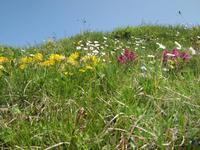 Auf dem Rothorn &ndash; &copy; Gisela Gerlach (Eberhardt TRAVEL)