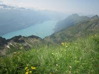 Auf dem Rothorn &ndash; &copy; Gisela Gerlach (Eberhardt TRAVEL)