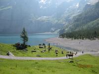 IMG_3529 Zu Besuch am Oeschinensee &ndash; &copy; Johanna Vogt (Eberhardt TRAVEL)