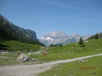 IMG_3536 Zu Besuch am Oeschinensee &ndash; &copy; Johanna Vogt (Eberhardt TRAVEL)