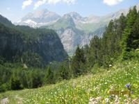 IMG_3543 saftige Bergwiesen &ndash; &copy; Johanna Vogt (Eberhardt TRAVEL)