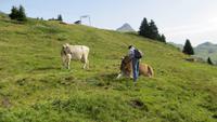0198 Wanderung zur Bettmeralp &ndash; &copy; Annette Weise (Eberhardt TRAVEL)