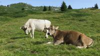 0201 Wanderung zur Bettmeralp &ndash; &copy; Annette Weise (Eberhardt TRAVEL)