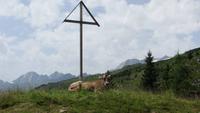 0229 Wanderun zurück zur Riederalp &ndash; &copy; Annette Weise (Eberhardt TRAVEL)
