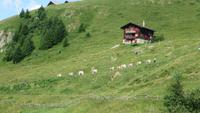 0255 Riederalp &ndash; &copy; Annette Weise (Eberhardt TRAVEL)