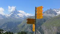 0335 Wanderung auf dem Blumenweg von Blauherd nach Sunegga - &ndash; &copy; Annette Weise (Eberhardt TRAVEL)