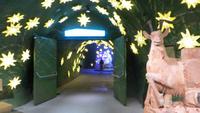 0487 Ausflug zum Jungfraujoch - Alpine Faszination &ndash; &copy; Annette Weise (Eberhardt TRAVEL)