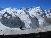 Zermatt, Gornergrat &ndash; &copy; Gisela Gerlach (Eberhardt TRAVEL)