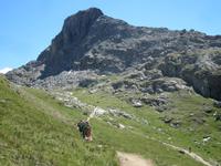 Wanderung von Rotenboden zum Riffelberg &ndash; &copy; Gisela Gerlach (Eberhardt TRAVEL)