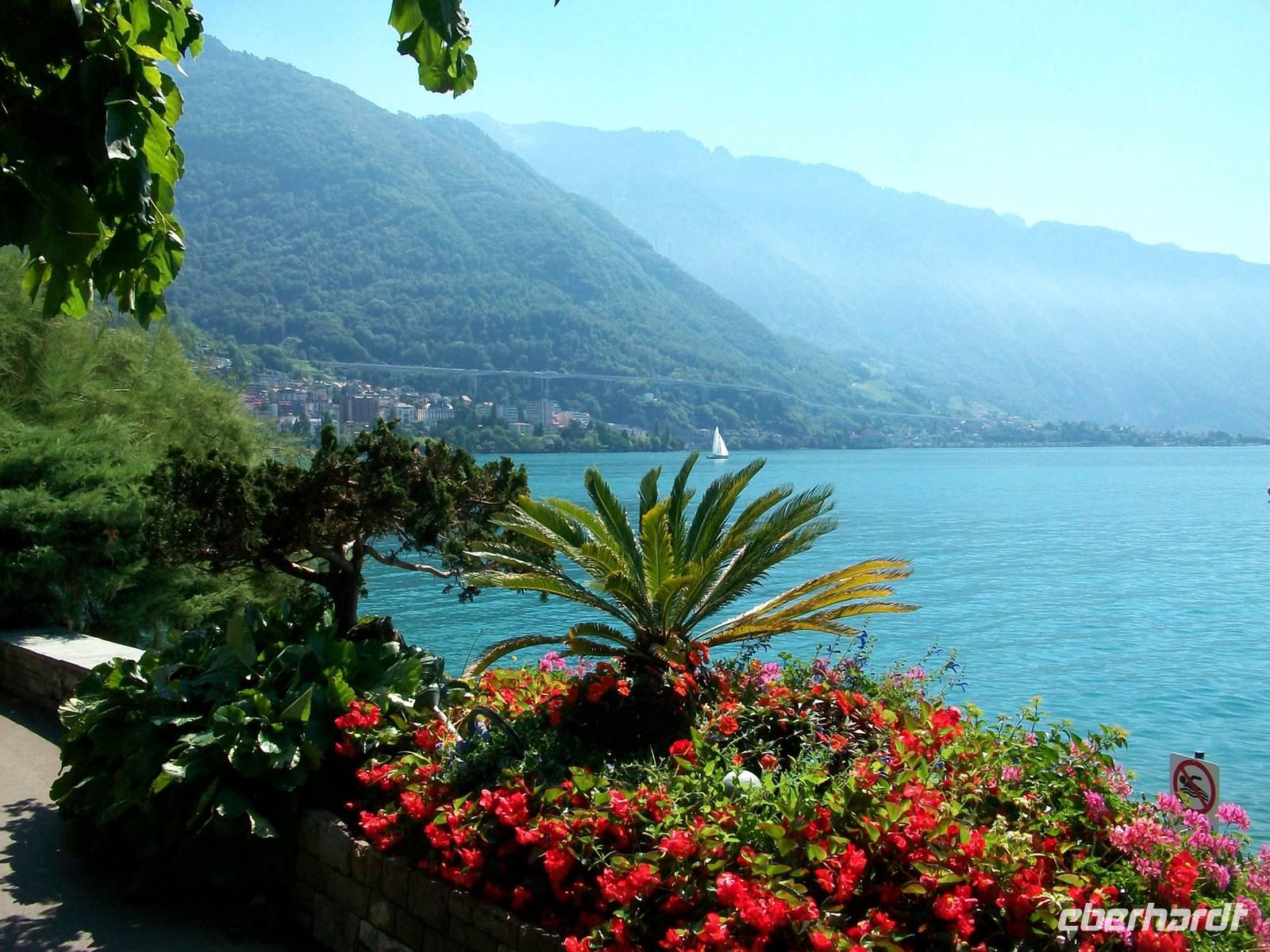 Genfer See &ndash; &copy; Steffen Mucke (Eberhardt TRAVEL)