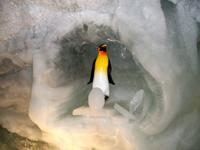 Auf dem Allalin &ndash; &copy; Steffen Mucke (Eberhardt TRAVEL)