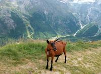 Auf dem Hanneg &ndash; &copy; Steffen Mucke (Eberhardt TRAVEL)