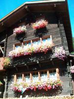 Im Lötschental &ndash; &copy; Steffen Mucke (Eberhardt TRAVEL)