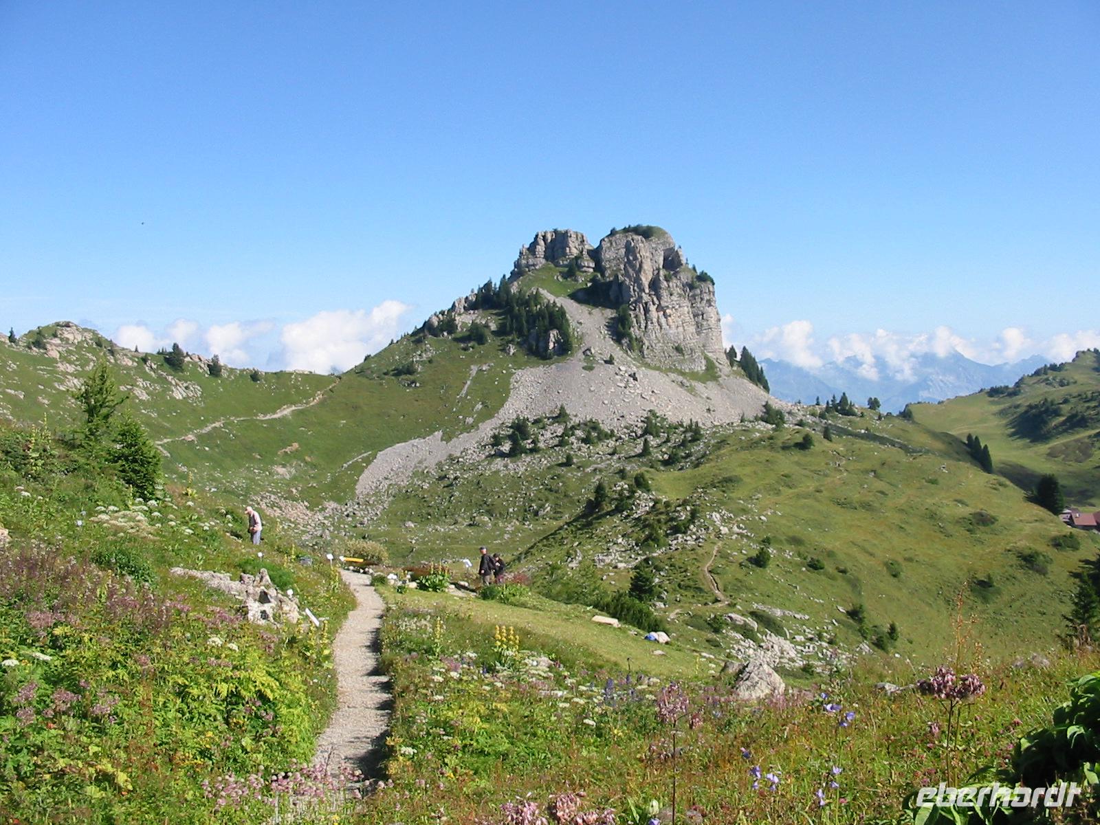 im Alpengarten &ndash; &copy; Gisela Preuß (Eberhardt TRAVEL)