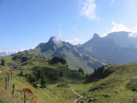 auf der Schynigen Platte &ndash; &copy; Gisela Preuß (Eberhardt TRAVEL)