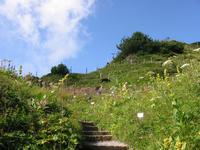 im Alpengarten &ndash; &copy; Gisela Preuß (Eberhardt TRAVEL)