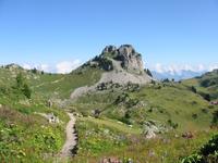 im Alpengarten &ndash; &copy; Gisela Preuß (Eberhardt TRAVEL)