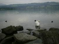 Sempacher See &ndash; &copy; Katrin Deutschbein (Eberhardt TRAVEL)