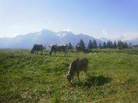 auf der Riederalp &ndash; &copy; Katrin Deutschbein (Eberhardt TRAVEL)