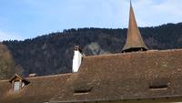 0198 Ortsführung in Interlaken - Hadermännli &ndash; &copy; Annette Weise (Eberhardt TRAVEL)